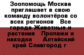 Зоопомощь.Москва приглашает в свою команду волонтёров со всех регионов - Все города Животные и растения » Пропажи и находки   . Алтайский край,Славгород г.